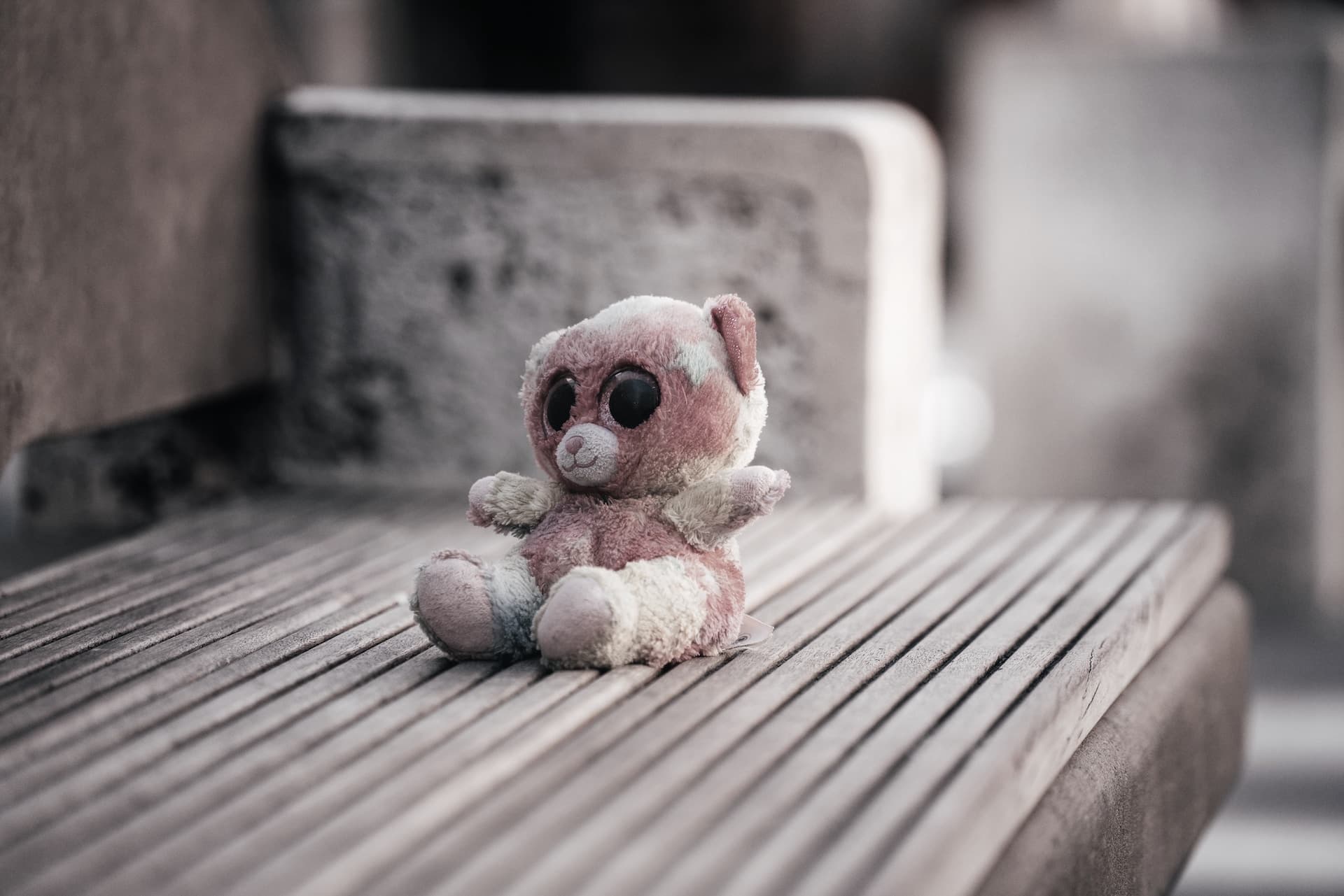 a small stuffed animal sitting on top of a wooden bench unsplash Jan Kopřiva